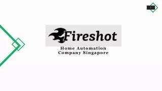 Fireshot Pte Ltd - Singapore