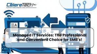 Managed IT Services Schaumburg