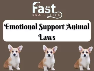 Emotional Support Animal Laws - ESA Letter