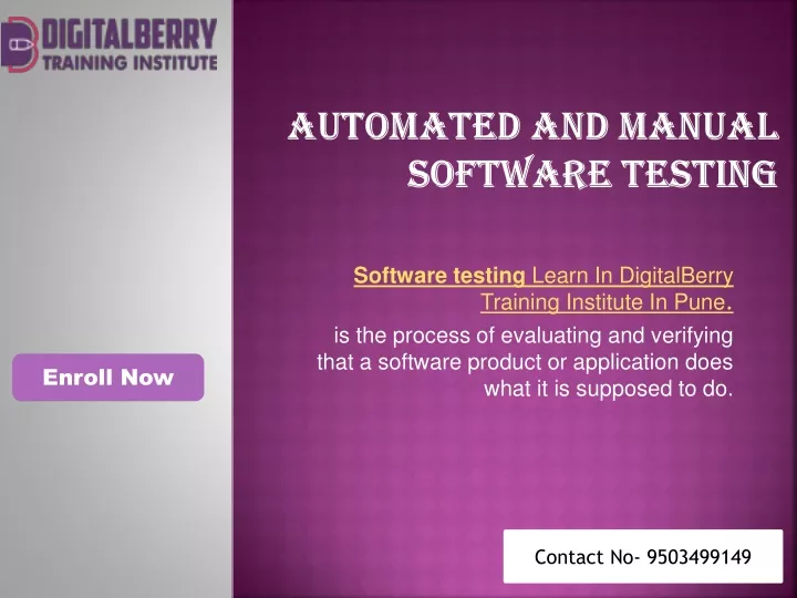 automated and manual software testing