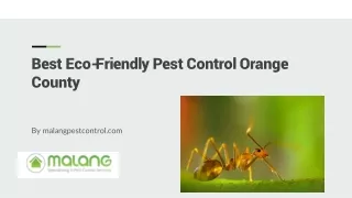 Best Eco-Friendly Pest Control Orange County