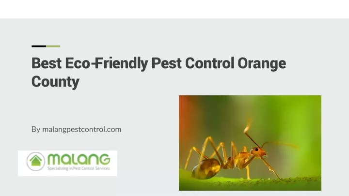 best eco friendly pest control orange county