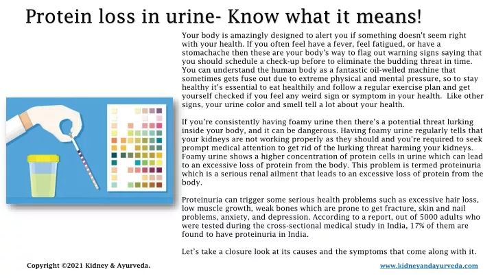protein loss in urine know what it means