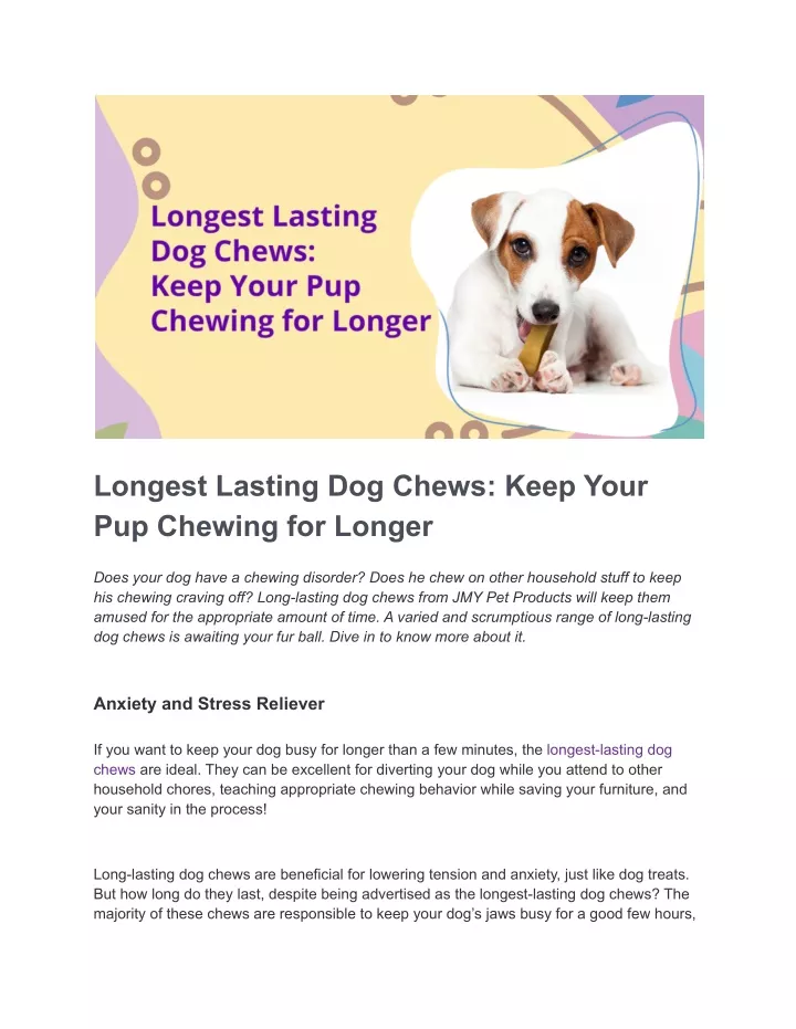 longest lasting dog chews keep your pup chewing