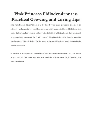 Pink Princess Philodendron 10 Practical Growing and Caring Tips