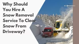 Why Should You Hire A Snow Removal Service To Clear Snow From Driveway