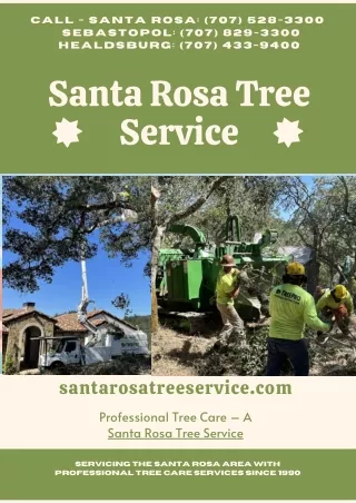 Santa Rosa Tree Service