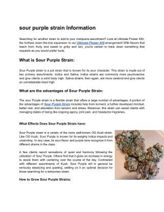 sour purple strain Information_ Ultimate Flower 42