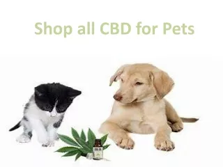 Shop all CBD for Pets