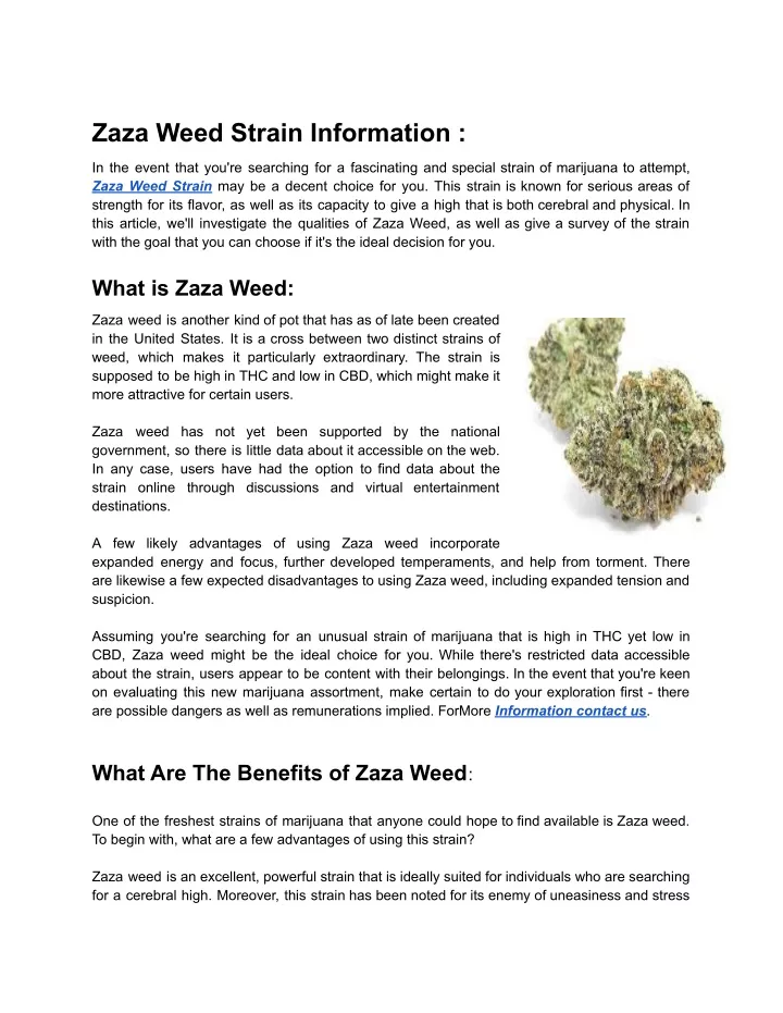 zaza weed strain information