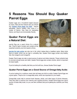 5 Reasons You Should Buy Quaker Parrot Eggs