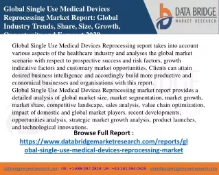 global single use medical devices reprocessing