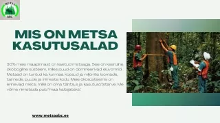mis on metsa kasutusalad