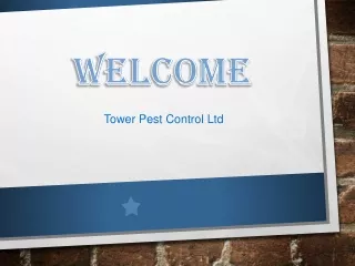welcome