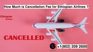 Can I Cancel My Ethiopian Airlines Ticket?