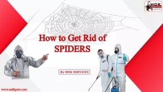 how to get rid of spiders