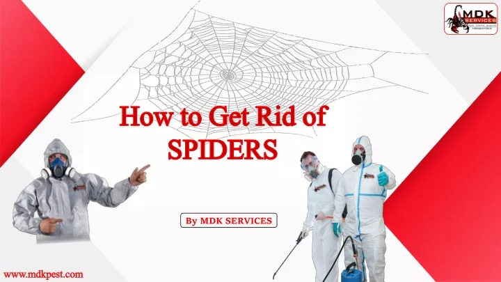 how to get rid of spiders