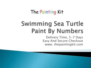 Swimming Sea Turtle Paint By Numbers- Shop Now