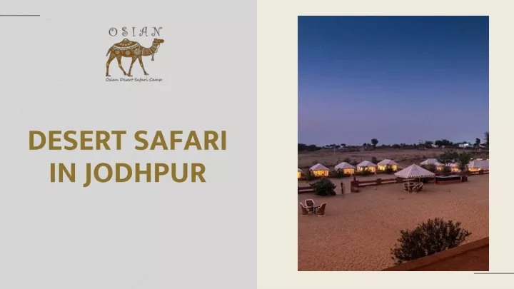 desert safari in jodhpur