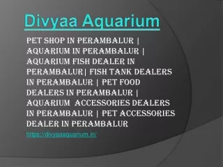 Pet Shop In Perambalur | Aquarium In Perambalur
