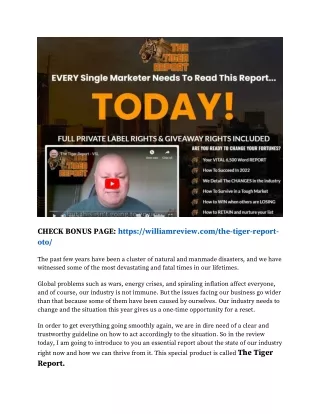 The Tiger Report Review - Is It Recommended or Not Worth It or a Scam