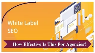 White Label SEO_ How Effective Is This For Agencies_