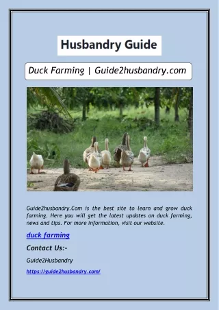Duck Farming | Guide2husbandry.com
