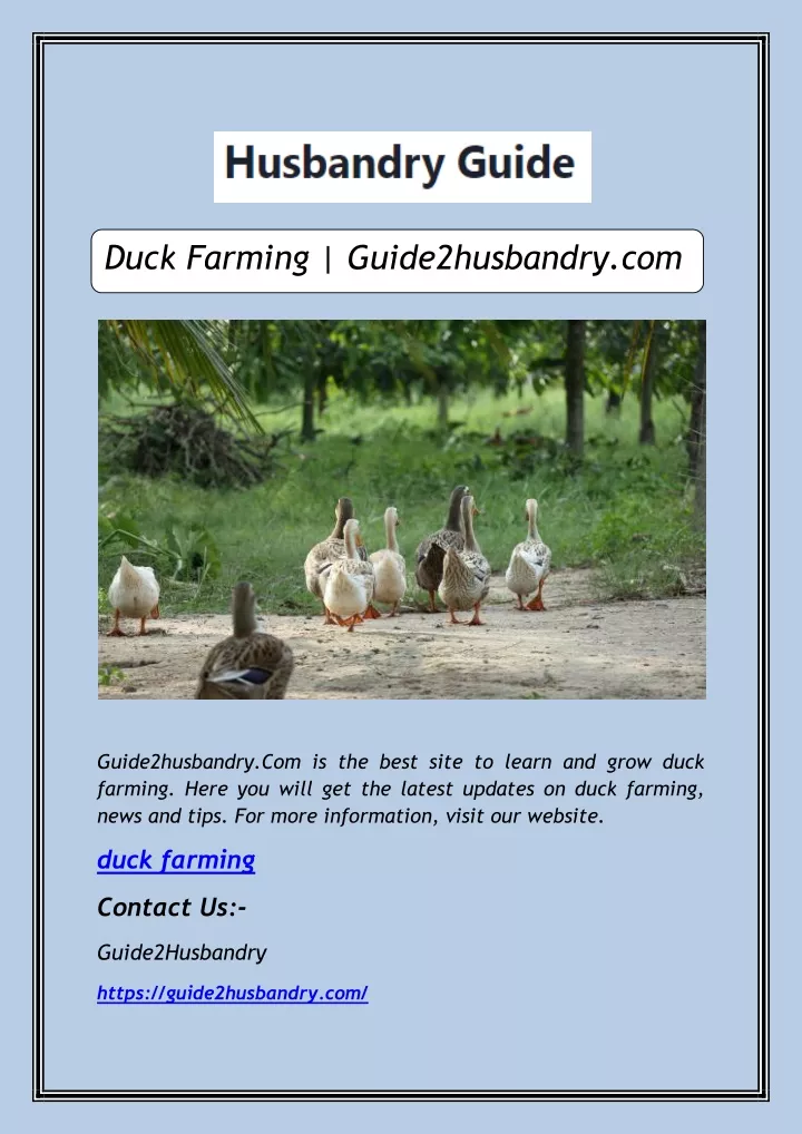 duck farming guide2husbandry com