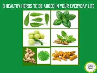 8 HEALTHY HERBS TO BE ADDED IN YOUR EVERYDAY LIFE