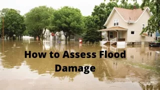 How to Assess Flood Damage