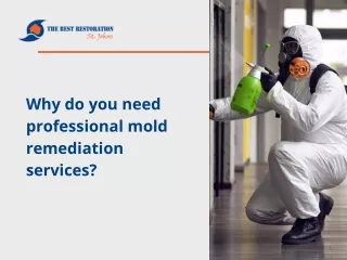 Why do you need professional mold remediation services?