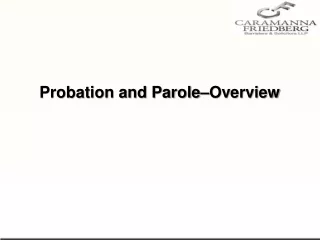 probation and parole overview