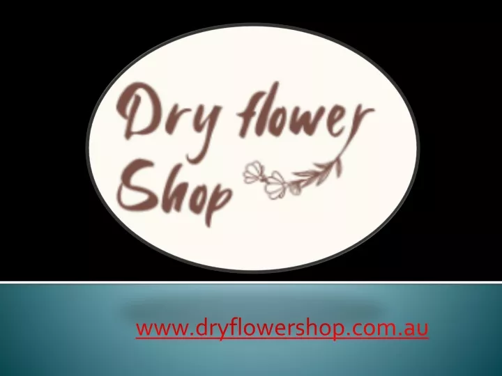 www dryflowershop com au