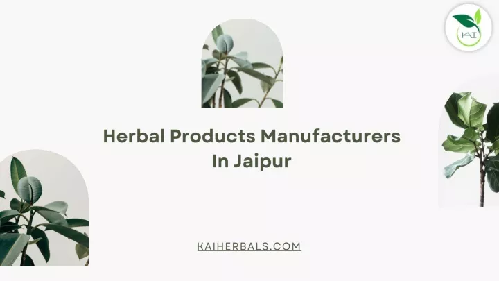 herbal products manufacturers in jaipur