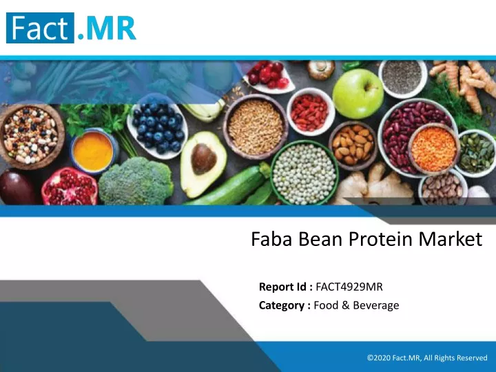 faba bean protein market