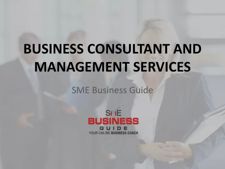 business consultant and management services