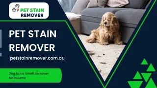 pet stain remover