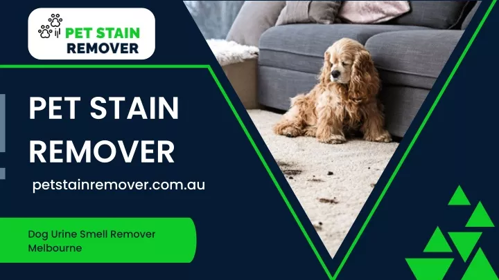 pet stain remover