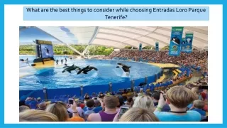 What are the best things to consider while choosing Entradas Loro Parque Tenerife