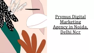 prymus digital marketing agency in noida delhi ncr