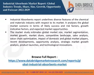 industrial absorbents market report global