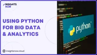 Python for Big Data and Analytics| insights now