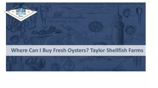 Where Can I Buy Fresh Oysters - Taylor Shellfish Farms
