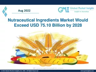 Nutraceutical Ingredients Market