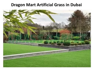 Dragon Mart Artificial Grass in Dubai