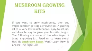 Mushroom Growing Kits boxes