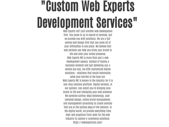 custom web experts development services