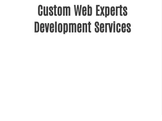 Custom Web Experts Development Services