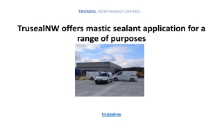 trusealnw offers mastic sealant application