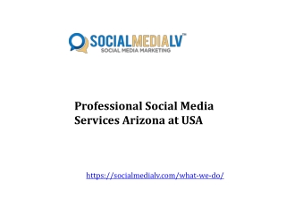 Professional Social Media Services Arizona at USA